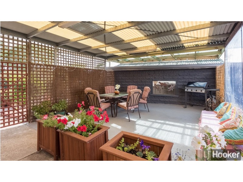 911 Mount Hicks Road, Mount Hicks TAS 7325
