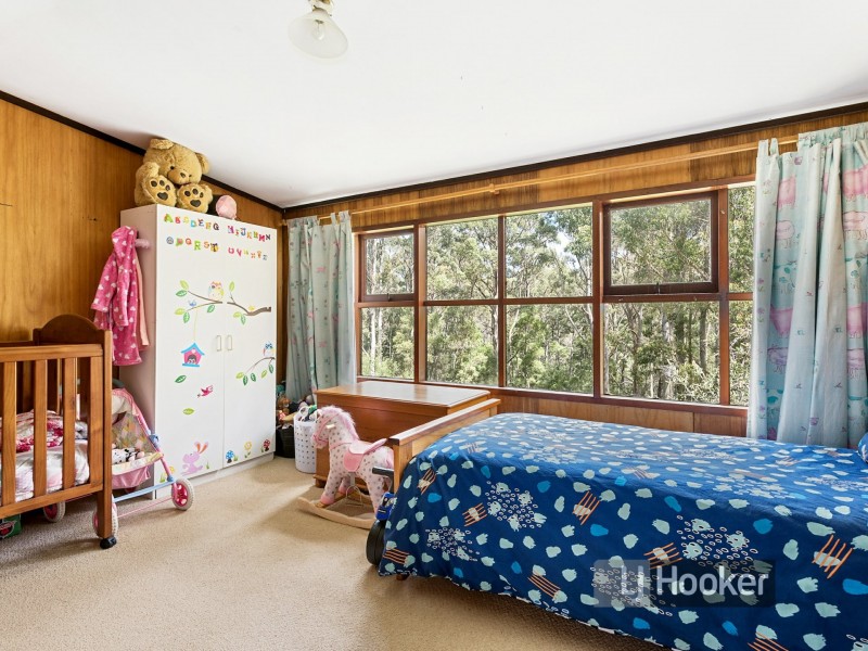 411 Pages Road, Moorleah TAS 7325