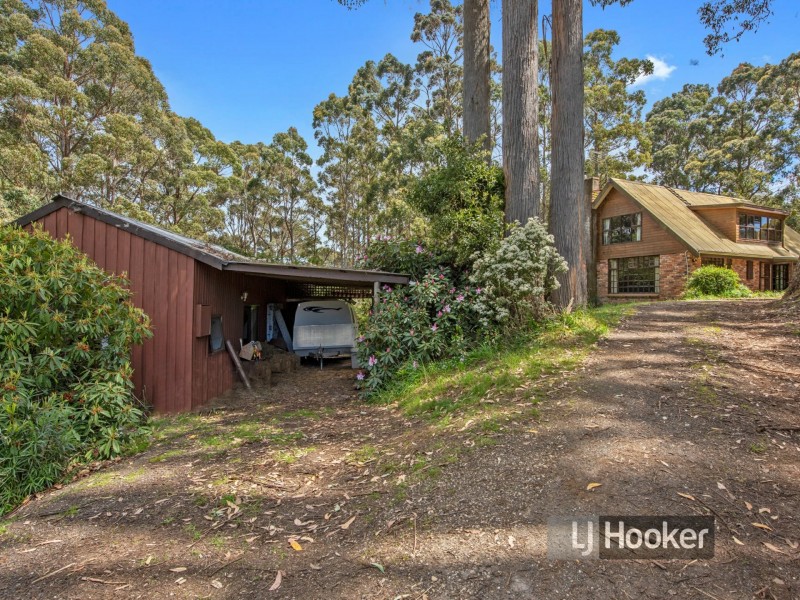 411 Pages Road, Moorleah TAS 7325