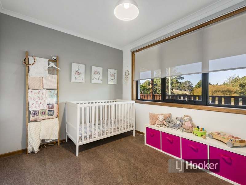 998 Ridgley Highway, Ridgley TAS 7321