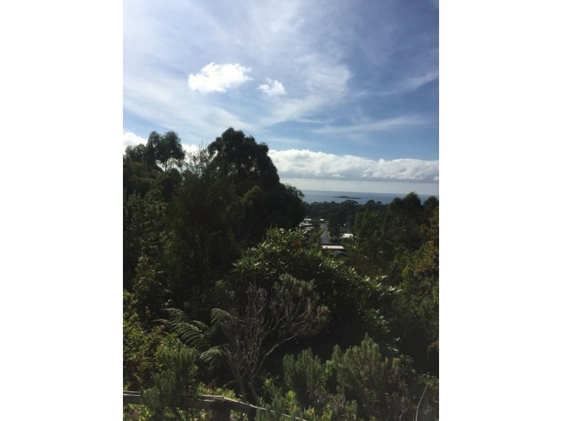 3 Banksia Avenue, Sisters Beach TAS 7321