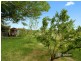 340 Myalla Road, Myalla TAS 7325
