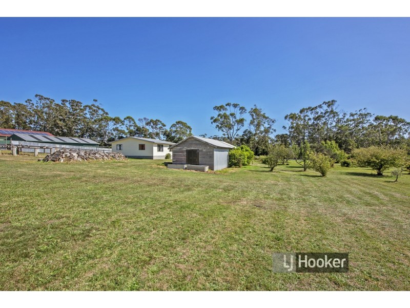 13 Oldina Road, Wynyard TAS 7325
