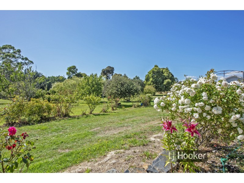 13 Oldina Road, Wynyard TAS 7325