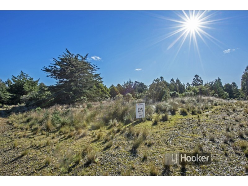 0 Preolenna Road, Preolenna TAS 7325