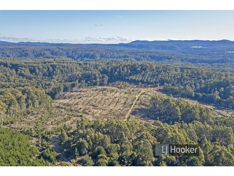 0 Preolenna Road, Preolenna TAS 7325
