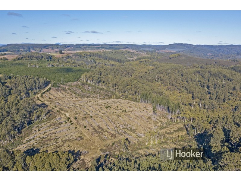 0 Preolenna Road, Preolenna TAS 7325