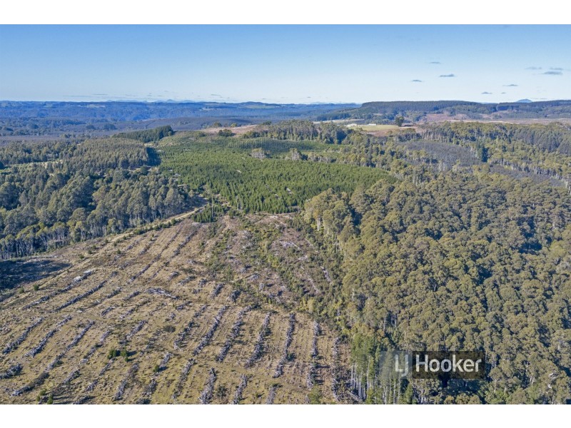 0 Preolenna Road, Preolenna TAS 7325