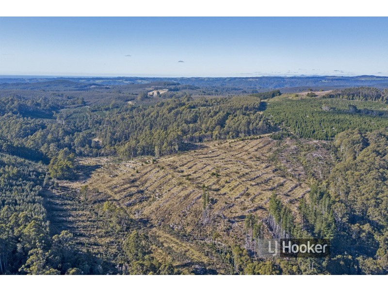 0 Preolenna Road, Preolenna TAS 7325