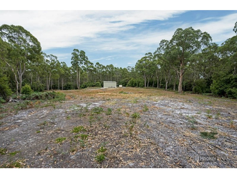 43 Boat Harbour Siding Road, Boat Harbour TAS 7321