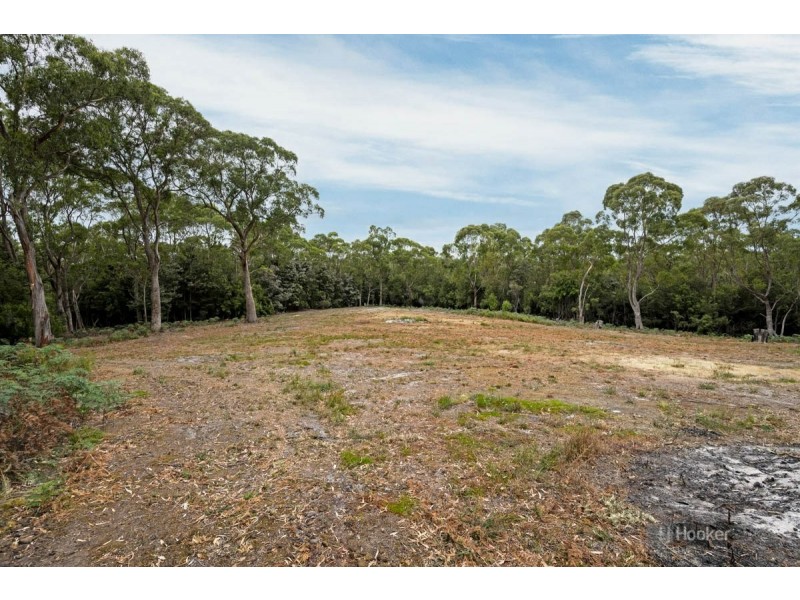 43 Boat Harbour Siding Road, Boat Harbour TAS 7321