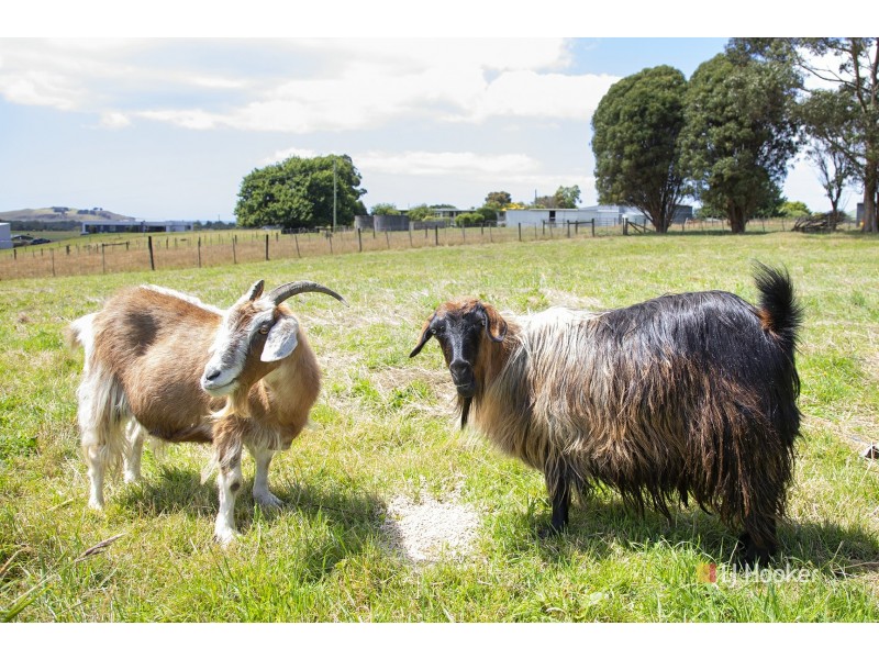 73 Timothy Drive, Wynyard TAS 7325