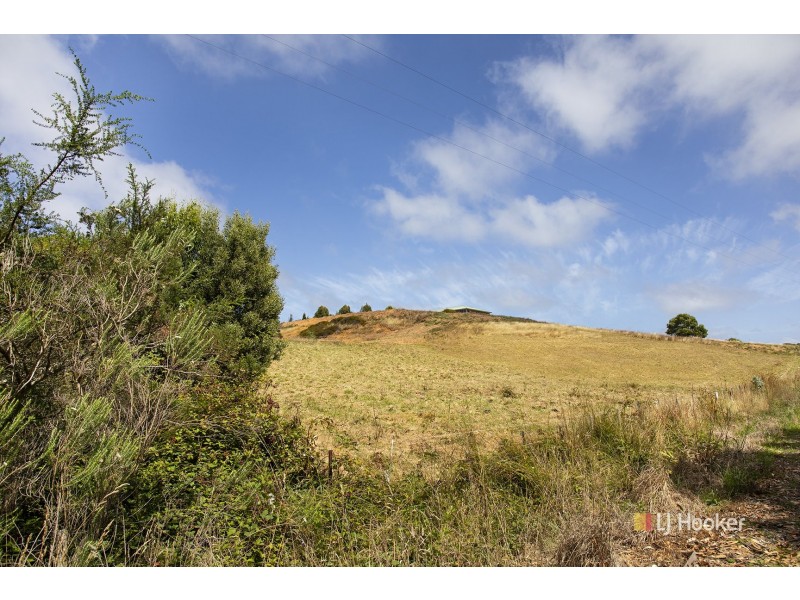 37 Timothy Drive, Wynyard TAS 7325