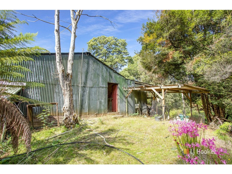 149 Bassetts Road, Calder TAS 7325