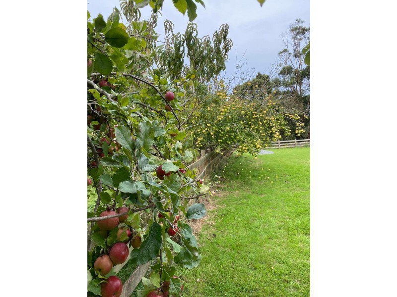 171 Port Road, Boat Harbour TAS 7321