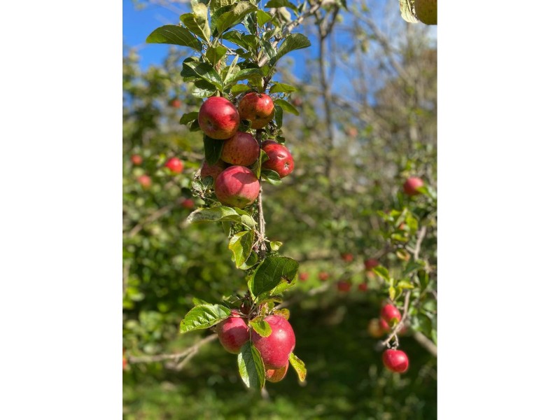 171 Port Road, Boat Harbour TAS 7321