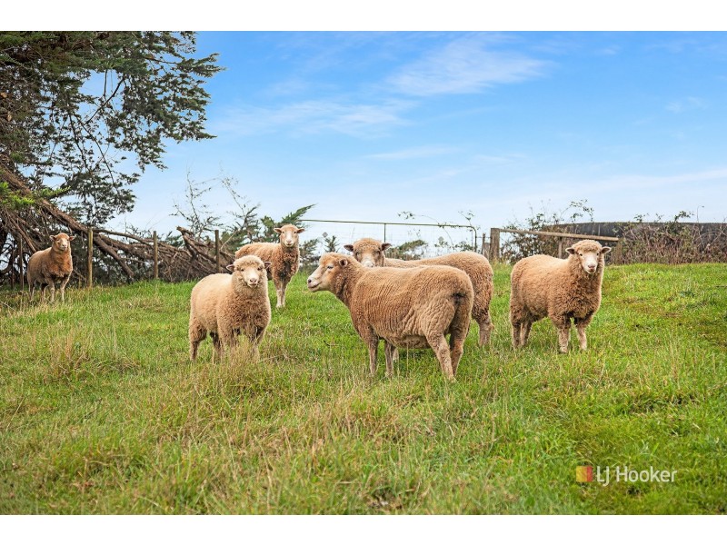 17416 Bass Highway, Boat Harbour TAS 7321