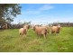 17416 Bass Highway, Boat Harbour TAS 7321
