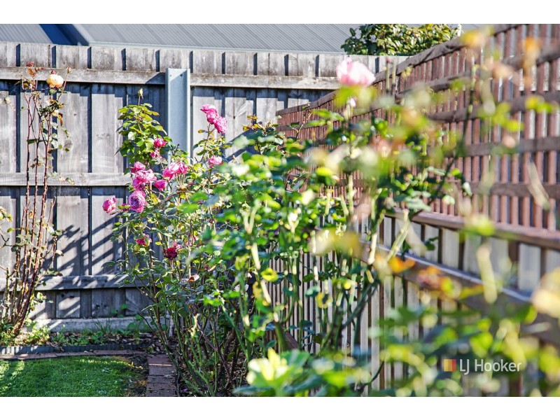 35 Inglis Street, Wynyard TAS 7325