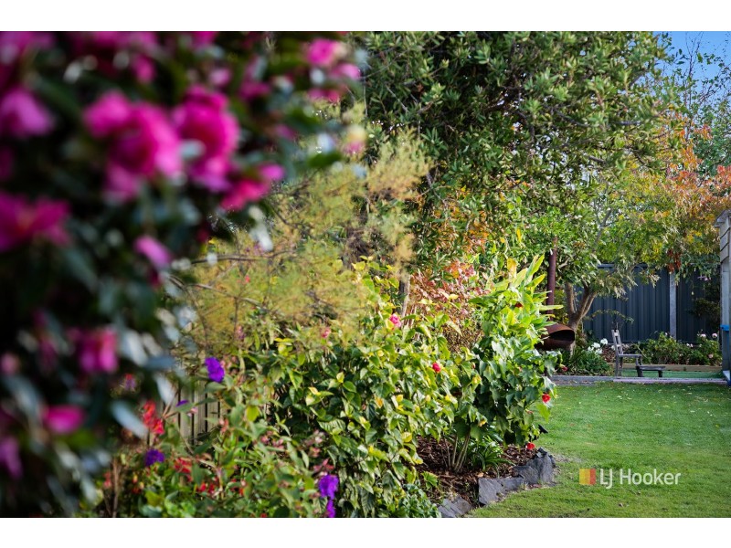 2 Bridge Street, Wynyard TAS 7325