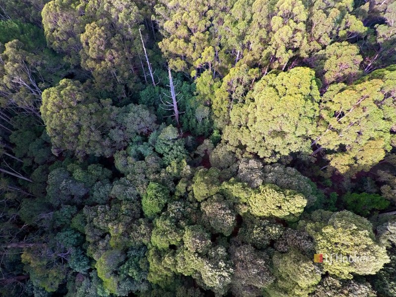 0 Reservoir Drive, Wynyard TAS 7325