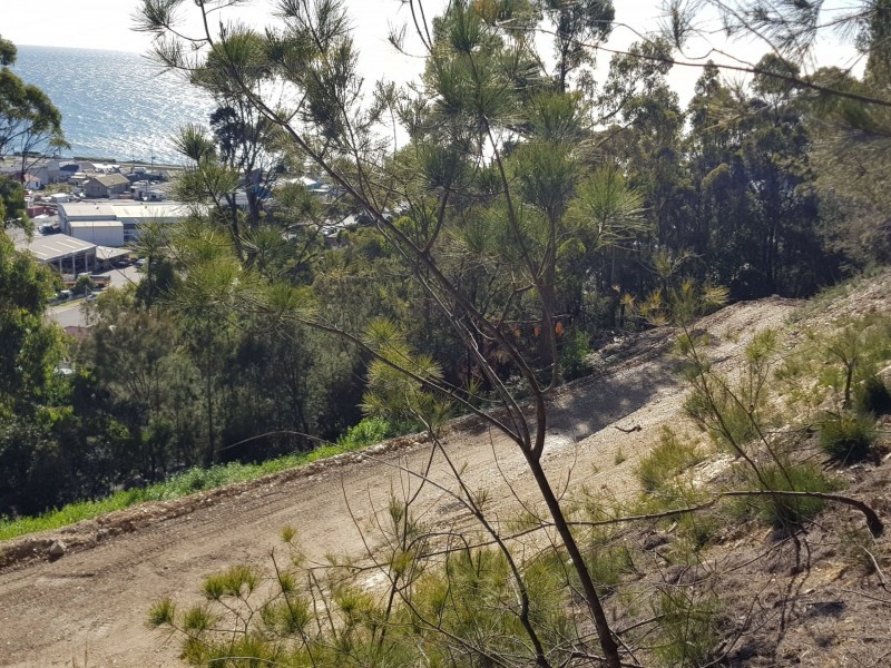 6-8 Stowport Road, Wivenhoe TAS 7320