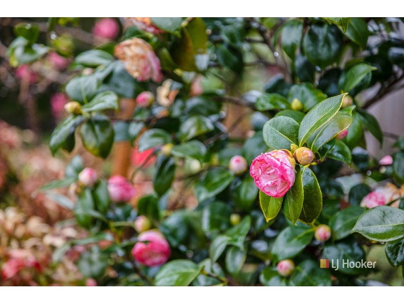 50 Simpson Street, Somerset TAS 7322