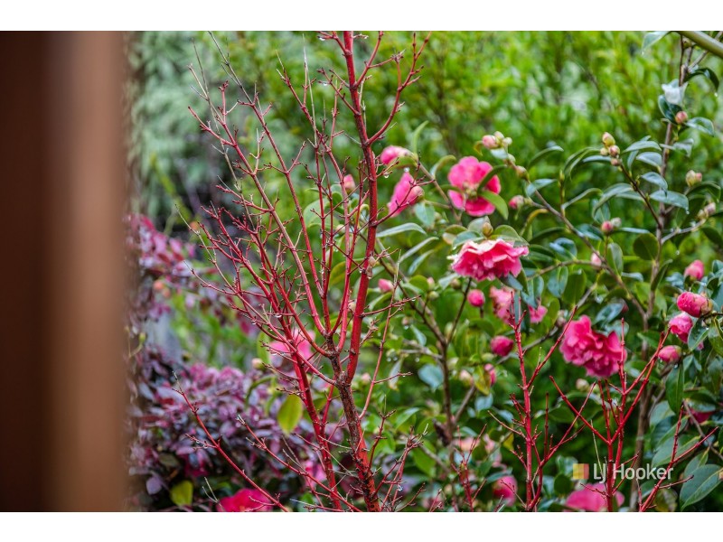 50 Simpson Street, Somerset TAS 7322