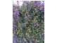 Wynyard TAS 7325