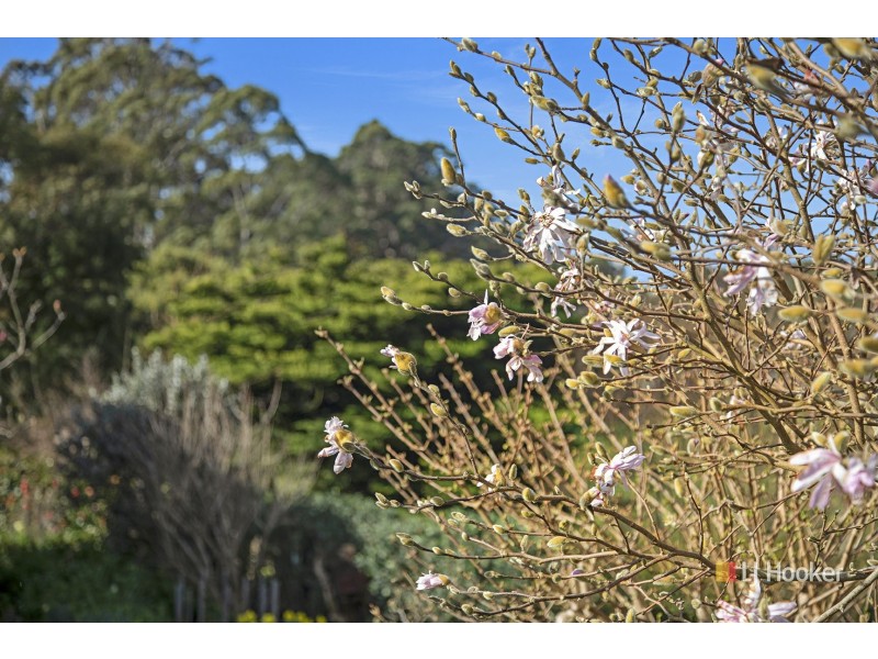 Wynyard TAS 7325