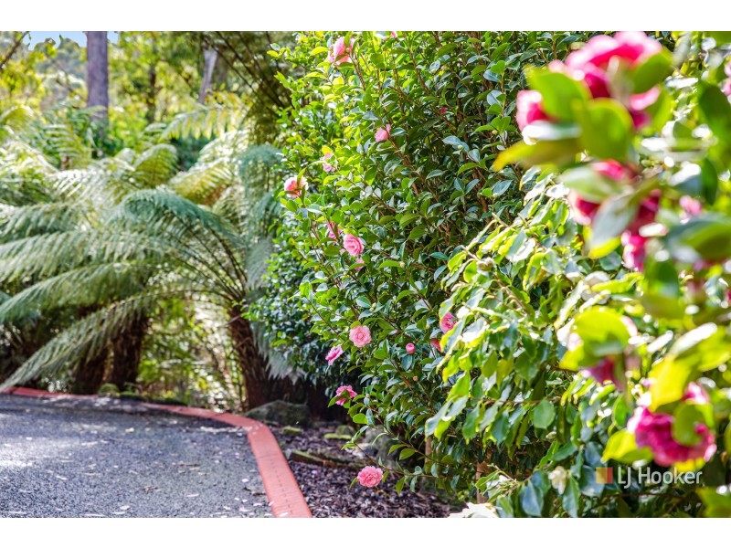 39 Snares Road, Moorleah TAS 7325