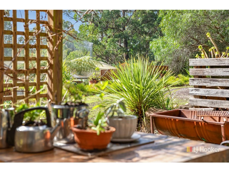 39 Snares Road, Moorleah TAS 7325