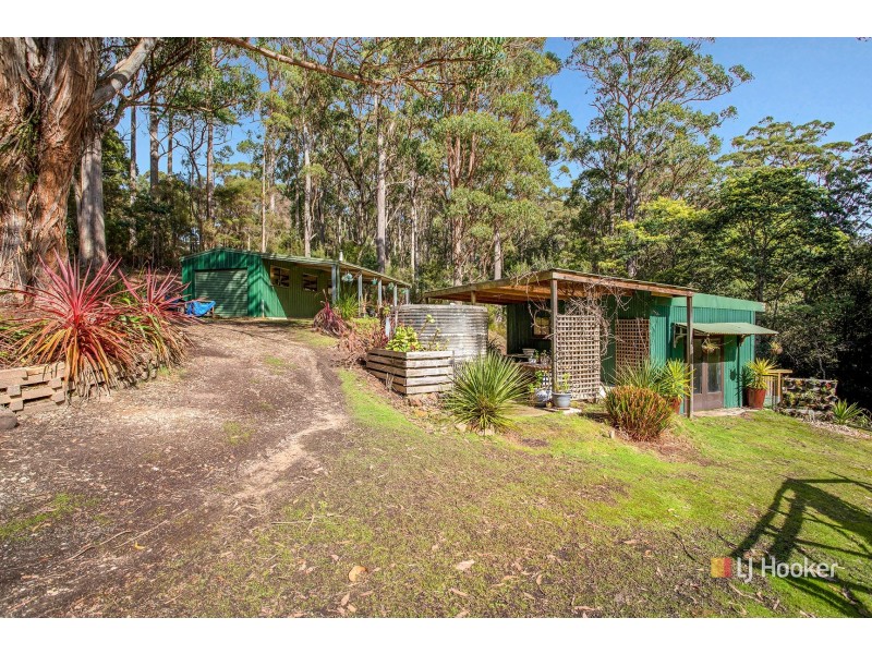39 Snares Road, Moorleah TAS 7325