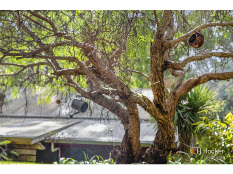 39 Snares Road, Moorleah TAS 7325