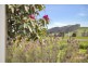 167 Preolenna Road, Flowerdale TAS 7325