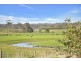 167 Preolenna Road, Flowerdale TAS 7325