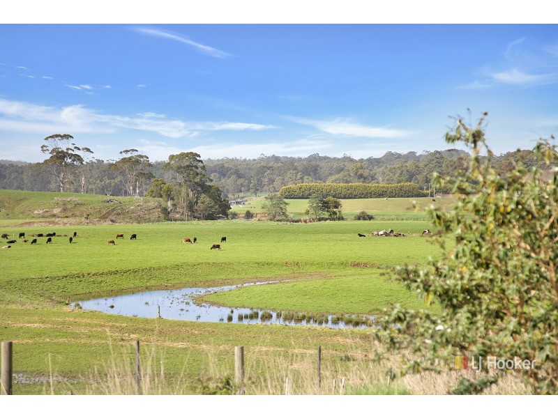 167 Preolenna Road, Flowerdale TAS 7325