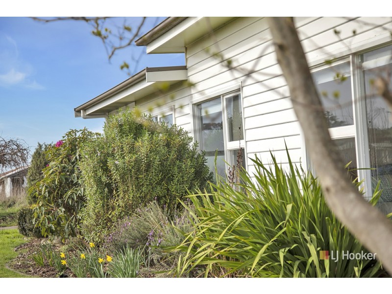 167 Preolenna Road, Flowerdale TAS 7325