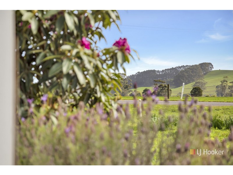 167 Preolenna Road, Flowerdale TAS 7325