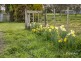 16817 Bass Highway, Flowerdale TAS 7325