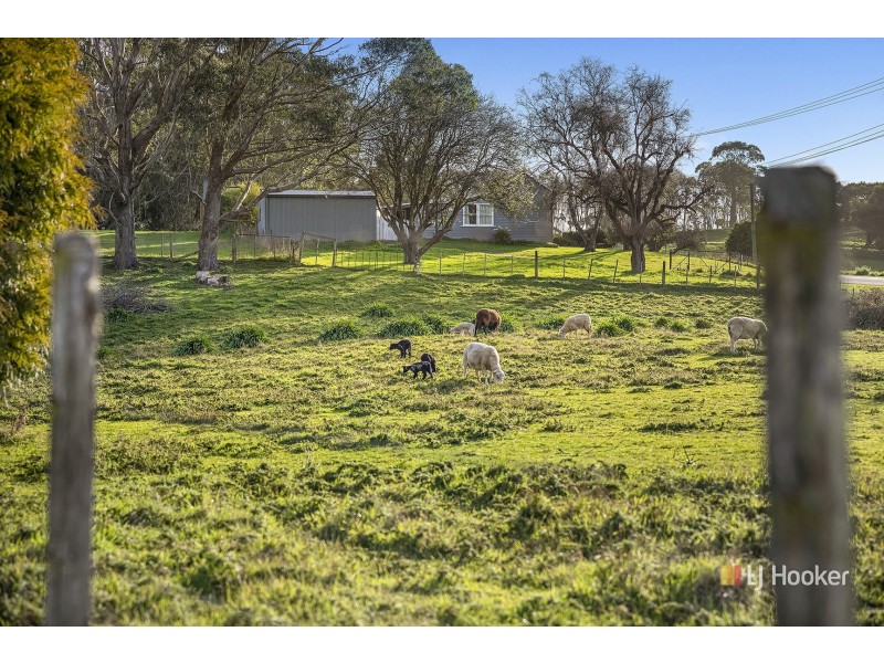 16817 Bass Highway, Flowerdale TAS 7325