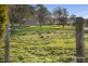 16817 Bass Highway, Flowerdale TAS 7325
