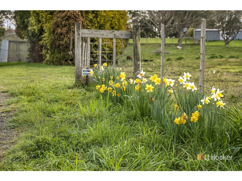 16817 Bass Highway, Flowerdale TAS 7325