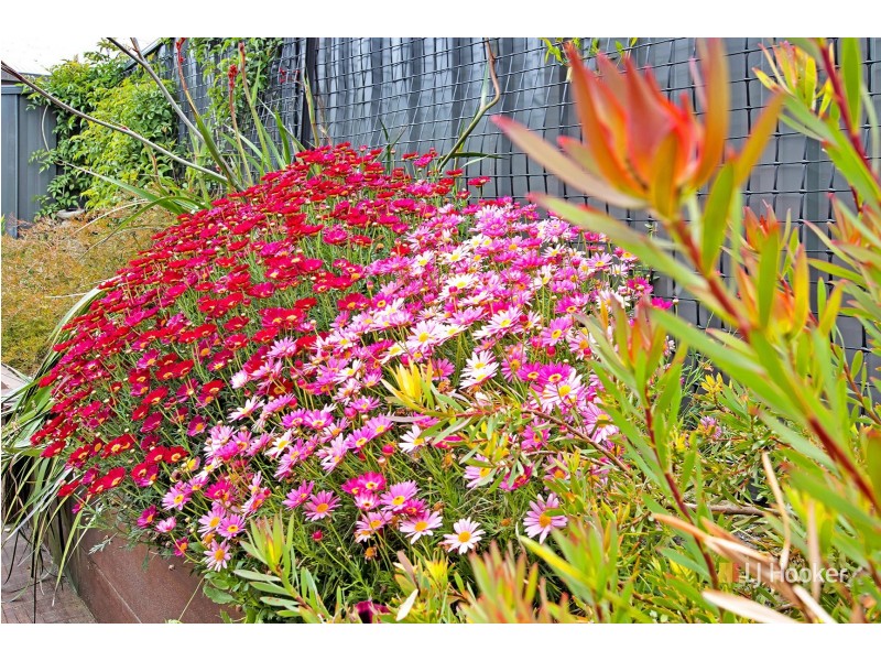 3/50 Raglan Street, Somerset TAS 7322