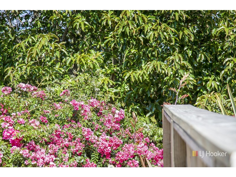 45 George Street, Wynyard TAS 7325