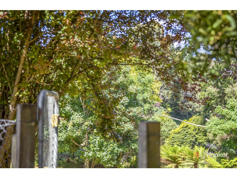 45 George Street, Wynyard TAS 7325