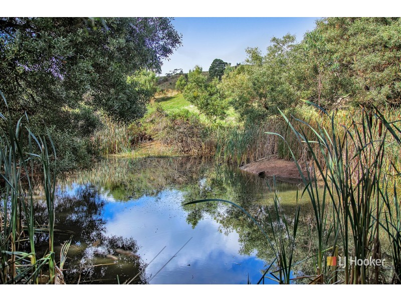 15 Baulds Hill Road, Oldina TAS 7325