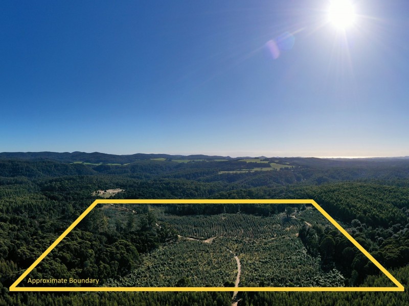 200 Hills Road, Meunna TAS 7325