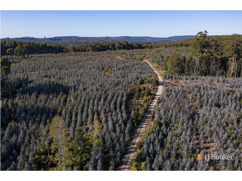 200 Hills Road, Meunna TAS 7325