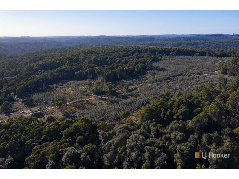 200 Hills Road, Meunna TAS 7325